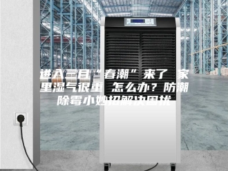 知识百科进入三月“春潮”来了 家里湿气很重 怎么办？防潮除霉小妙招解决困扰