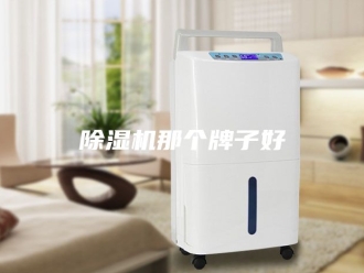 企业新闻除湿机那个牌子好
