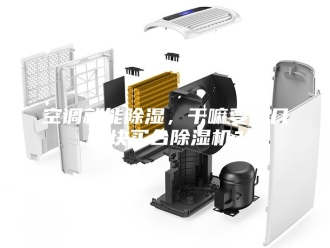 行业新闻空调就能除湿，干嘛要花几千块买台除湿机？