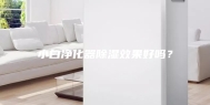小白净化器除湿效果好吗？