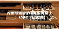 大型除湿机作用(服务至上：2023已更新)