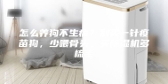 怎么养狗不生病？别买一针疫苗狗，少喂骨头，买除湿机多梳毛