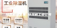 除湿机地下室 除湿机工业公司