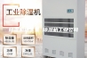 除湿机地下室 除湿机工业公司