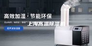 上海高温除湿机