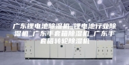 广东锂电池除湿机_锂电池行业除湿机_广东手套箱除湿机_广东手套箱转轮除湿机