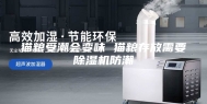 猫粮受潮会变味 猫粮存放需要除湿机防潮