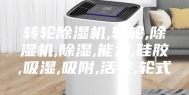 转轮除湿机,转轮,除湿机,除湿,能力,硅胶,吸湿,吸附,活性,轮式