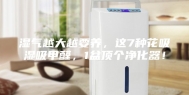 湿气越大越要养，这7种花吸湿吸甲醛，1盆顶个净化器！