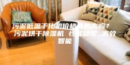 污泥低温干化机价格真的高吗？ 污泥烘干除湿机 性能稳定 高效智能