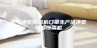 空气净化除湿机口罩生产洁净型恒温恒湿机