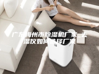 行业新闻广东梅州市除湿机厂家_去湿仪如何选择厂家