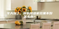 冬天到了，你的除湿机效果不好怎么办？