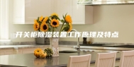 开关柜除湿装置工作原理及特点