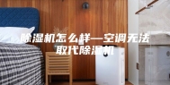 除湿机怎么样—空调无法取代除湿机