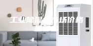 工业除湿机市场价格是多少