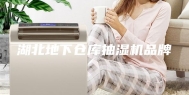 湖北地下仓库抽湿机品牌