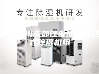 常见问题供应四川成都锂电池＊转轮式除湿机组