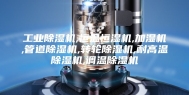 工业除湿机,恒温恒湿机,加湿机,管道除湿机,转轮除湿机,耐高温除湿机,调温除湿机