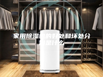 行业新闻家用除湿机的好处和坏处分别是什么
