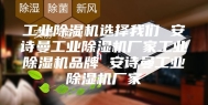 工业除湿机选择我们 安诗曼工业除湿机厂家工业除湿机品牌 安诗曼工业除湿机厂家