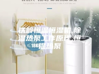 常见问题铁岭恒温恒湿机,除湿热泵工作原理,恒温热泵