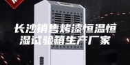 长沙销售烤漆恒温恒湿试验箱生产厂家