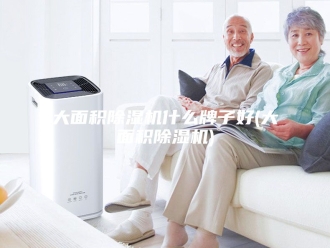行业新闻大面积除湿机什么牌子好(大面积除湿机)