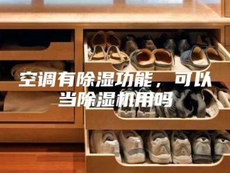 行业新闻空调有除湿功能，可以当除湿机用吗