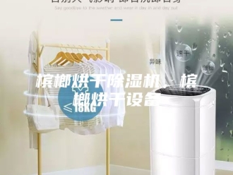 行业新闻槟榔烘干除湿机，槟榔烘干设备
