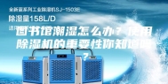 图书馆潮湿怎么办？使用除湿机的重要性你知道吗？