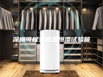 常见问题深圳可程式恒温恒湿试验箱