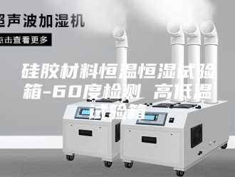 常见问题硅胶材料恒温恒湿试验箱-60度检测 高低温试验箱