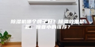 除湿机哪个牌子好？除湿效果显著，噪音小的推荐？