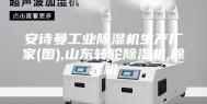 安诗曼工业除湿机生产厂家(图),山东转轮除湿机,除湿机