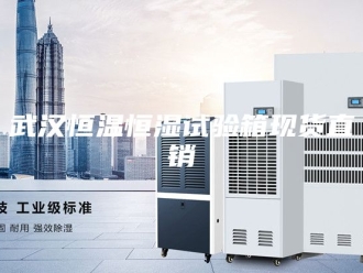 常见问题武汉恒温恒湿试验箱现货直销