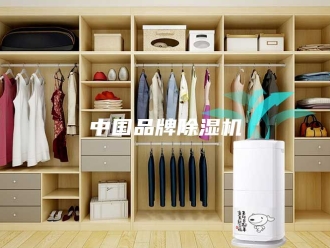 常见问题中国品牌除湿机