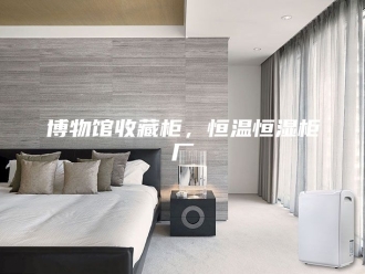 知识百科博物馆收藏柜，恒温恒湿柜厂