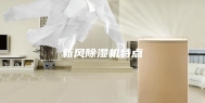 新风除湿机特点