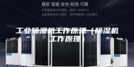工业除湿机工作原理（除湿机工作原理）
