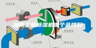 湖南工业除湿机哪个品牌好