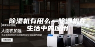 除湿机有用么—除湿机在生活中的应用