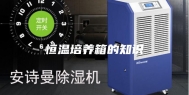 恒温培养箱的知识