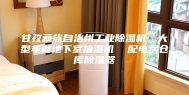 甘孜藏族自治州工业除湿机，大型车间地下室抽湿机  配电房仓库除湿器
