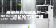 哪里有卖除湿机的—除湿机的工作原理