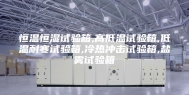 恒温恒湿试验箱,高低温试验箱,低温耐寒试验箱,冷热冲击试验箱,盐雾试验箱