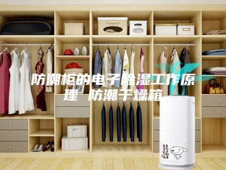 知识百科防潮柜的电子除湿工作原理 防潮干燥箱