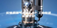 配电房潮气大怎么办？工业除湿机来支招