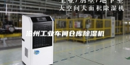 沧州工业车间仓库除湿机