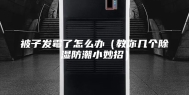被子发霉了怎么办（教你几个除湿防潮小妙招）